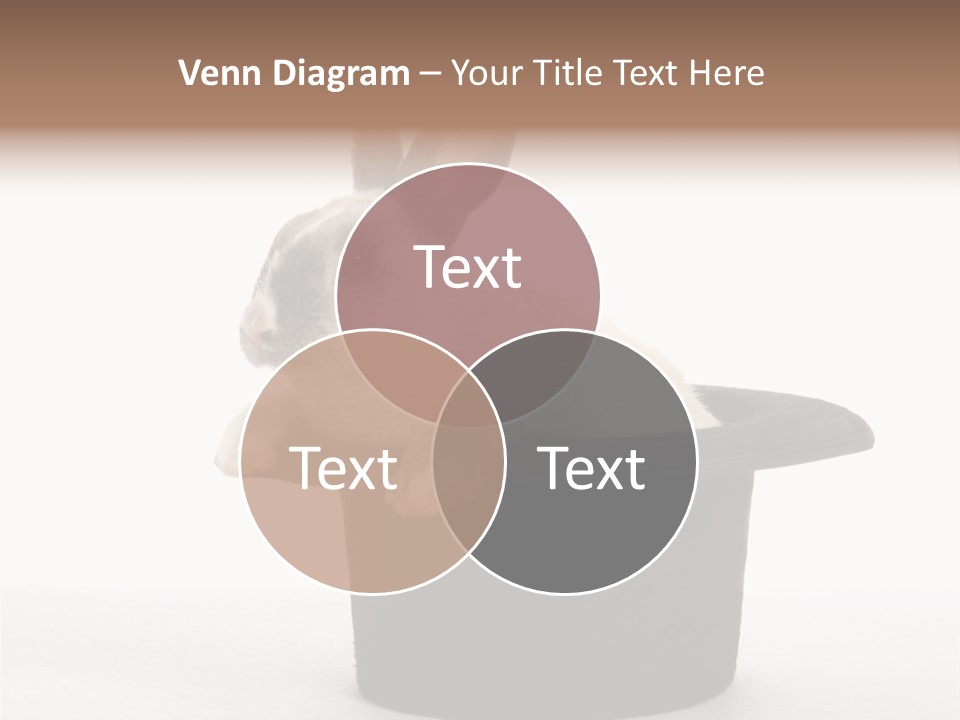 Pet Young Soft PowerPoint Template