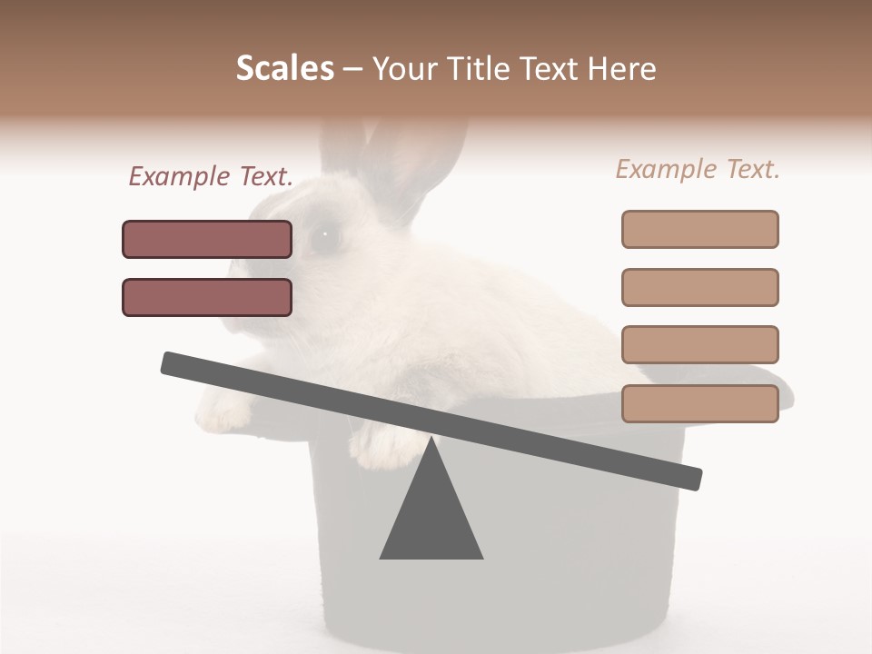 Pet Young Soft PowerPoint Template