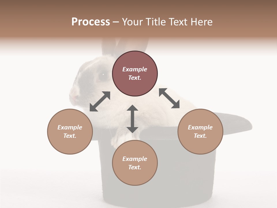 Pet Young Soft PowerPoint Template