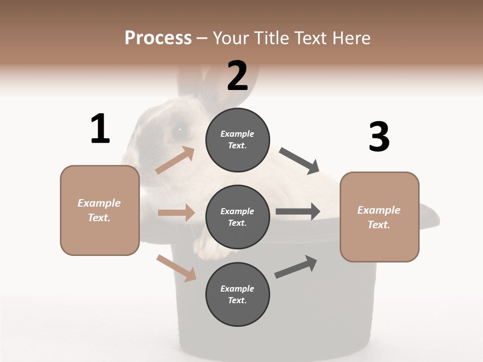 Pet Young Soft PowerPoint Template