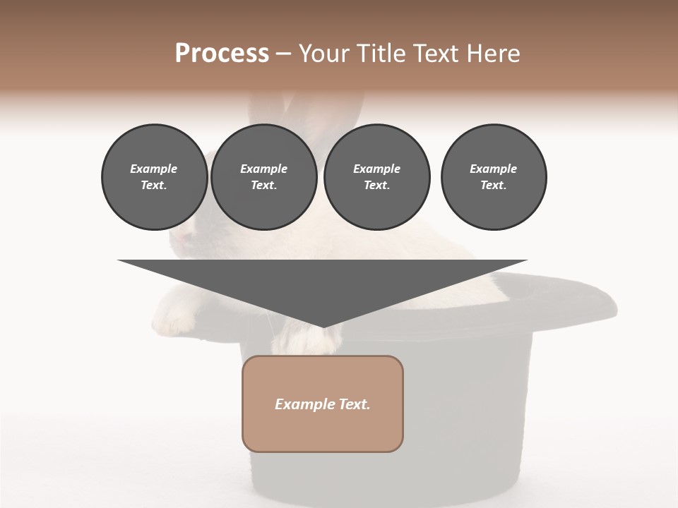 Pet Young Soft PowerPoint Template