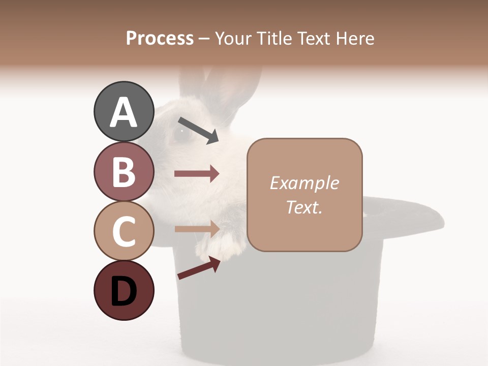 Pet Young Soft PowerPoint Template