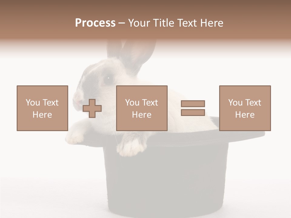 Pet Young Soft PowerPoint Template