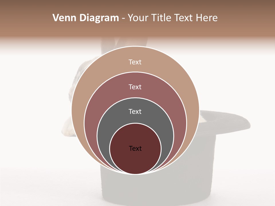 Pet Young Soft PowerPoint Template