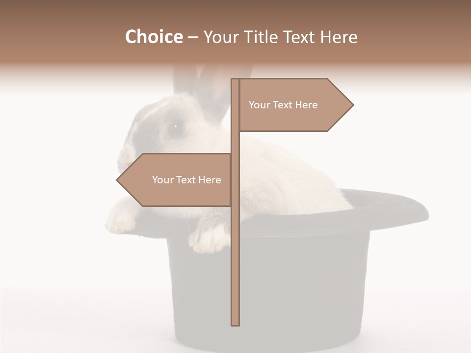 Pet Young Soft PowerPoint Template