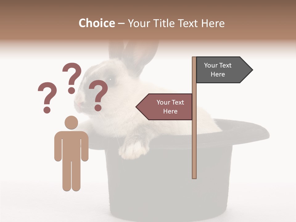 Pet Young Soft PowerPoint Template