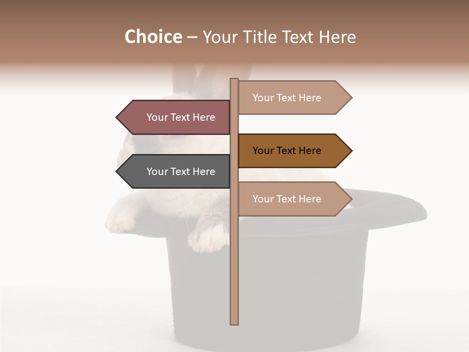 Pet Young Soft PowerPoint Template