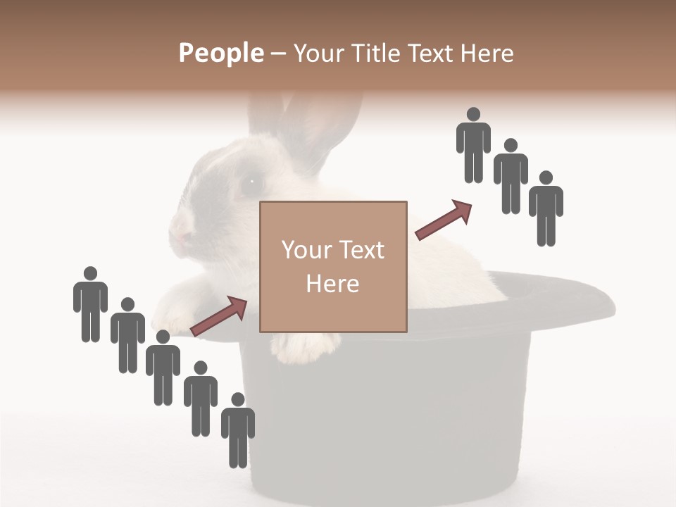 Pet Young Soft PowerPoint Template