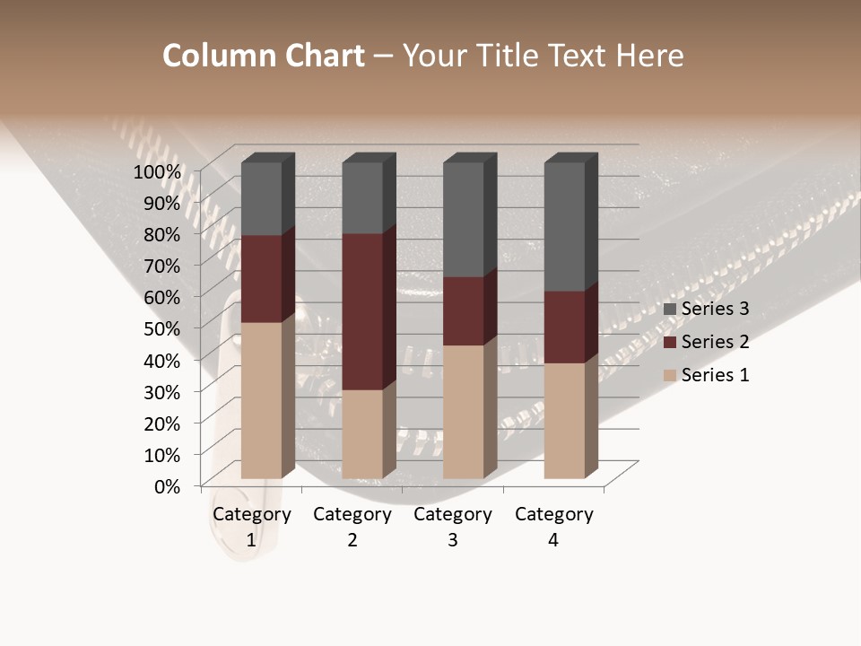 Document Warehouse Zipped PowerPoint Template
