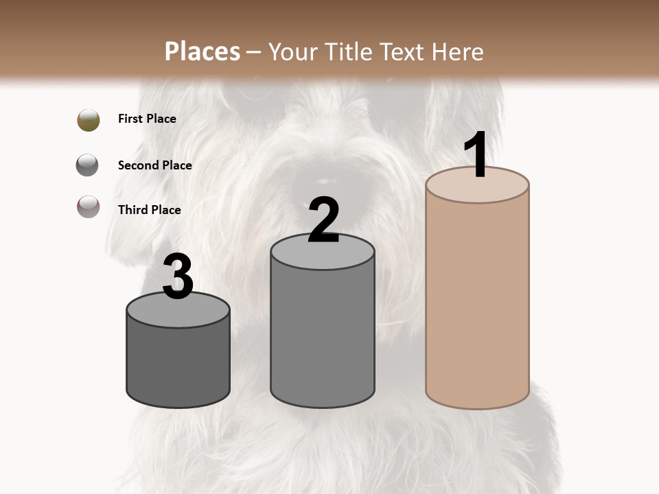 Years Old Animal Themes Obedient PowerPoint Template
