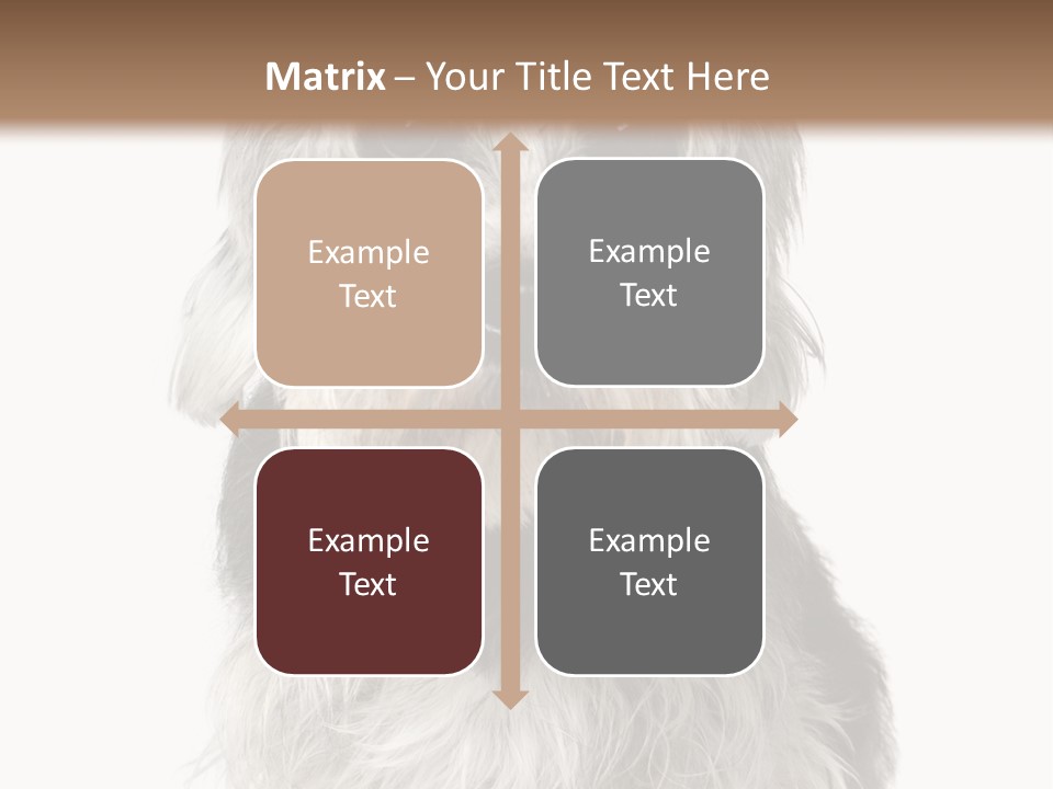 Years Old Animal Themes Obedient PowerPoint Template