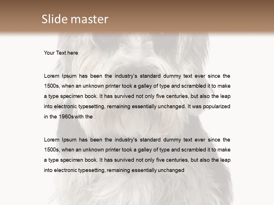 Years Old Animal Themes Obedient PowerPoint Template