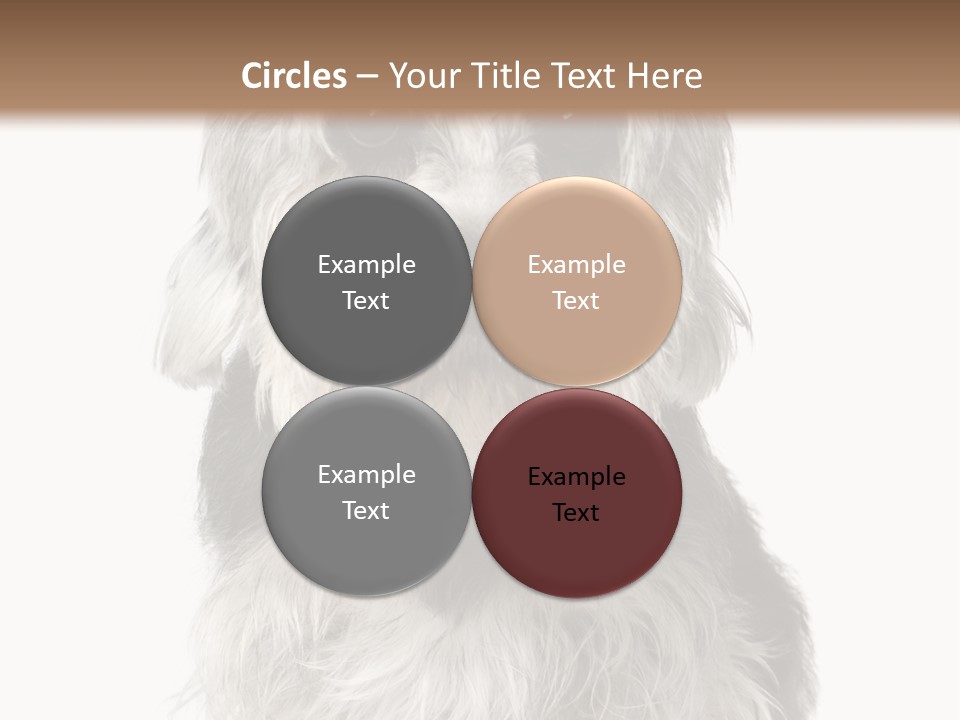Years Old Animal Themes Obedient PowerPoint Template