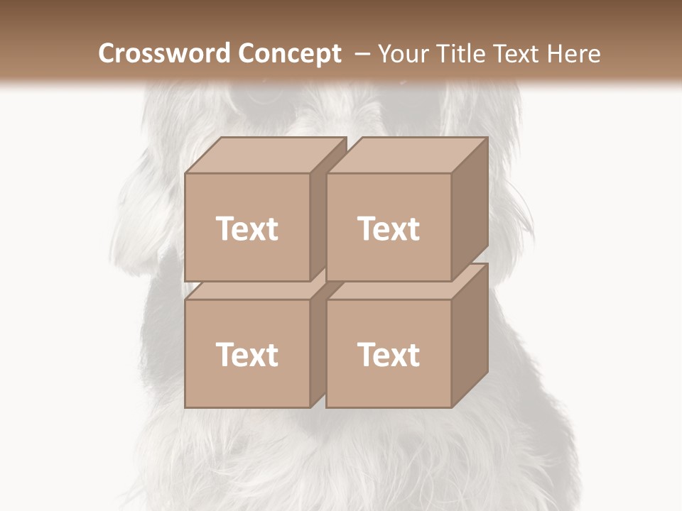 Years Old Animal Themes Obedient PowerPoint Template