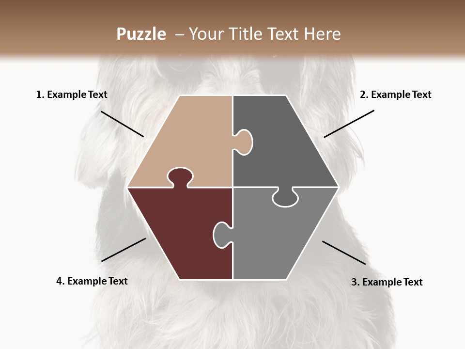 Years Old Animal Themes Obedient PowerPoint Template