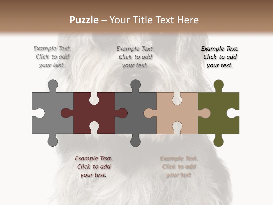 Years Old Animal Themes Obedient PowerPoint Template