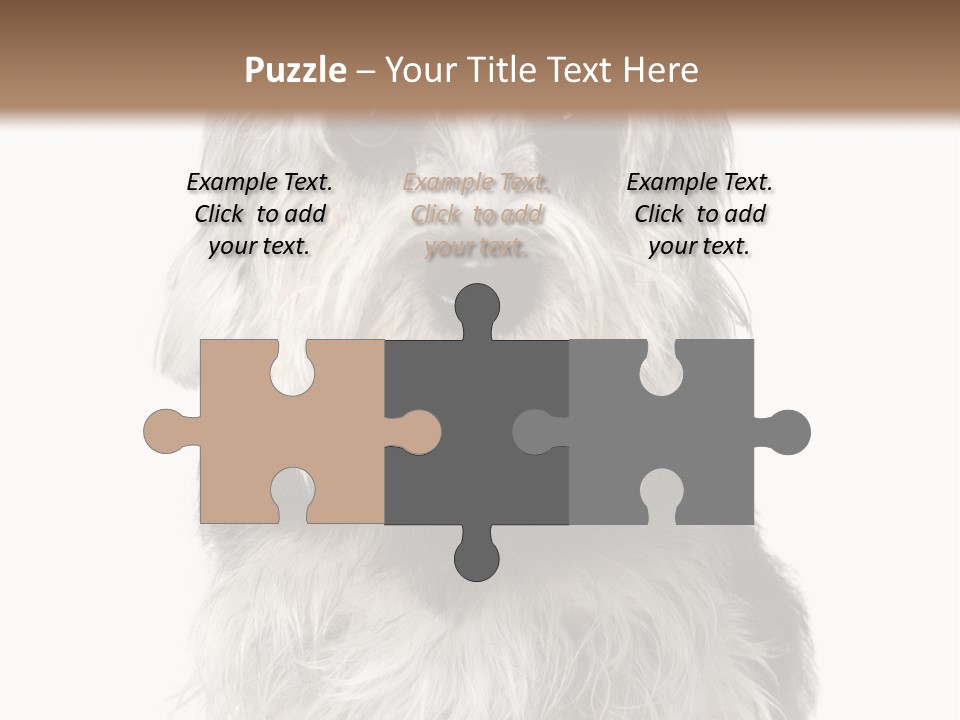Years Old Animal Themes Obedient PowerPoint Template