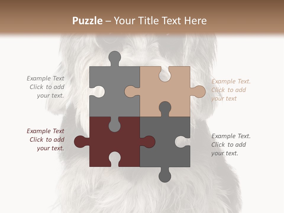 Years Old Animal Themes Obedient PowerPoint Template