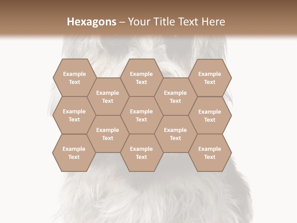 Years Old Animal Themes Obedient PowerPoint Template