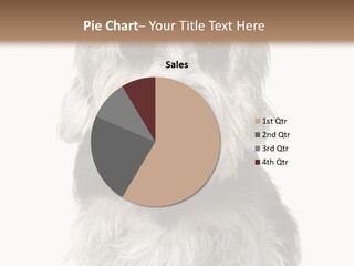 Years Old Animal Themes Obedient PowerPoint Template