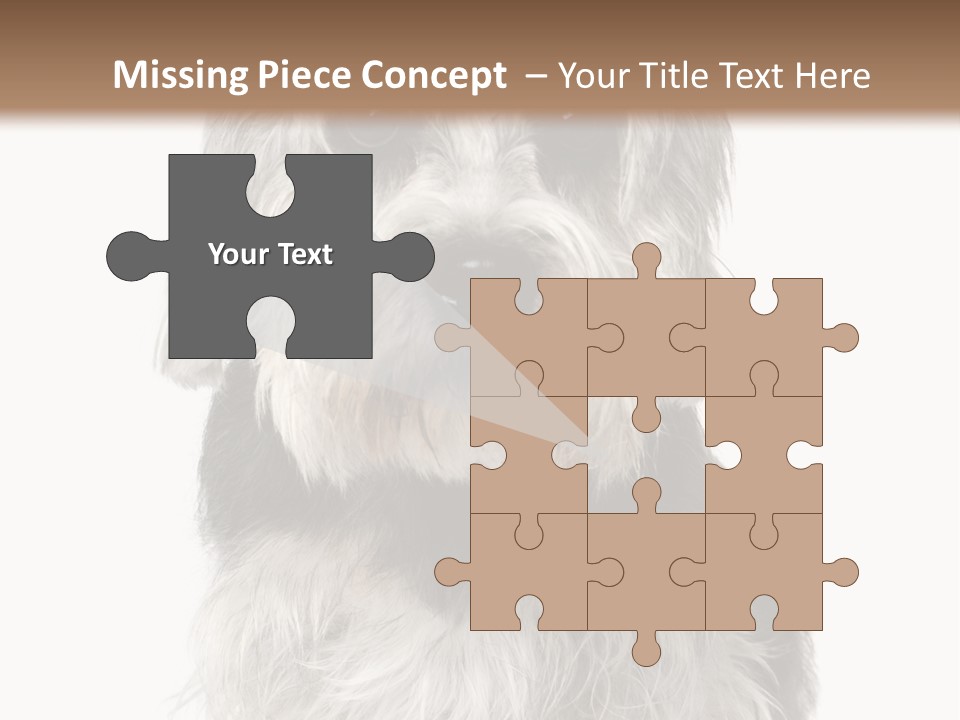 Years Old Animal Themes Obedient PowerPoint Template