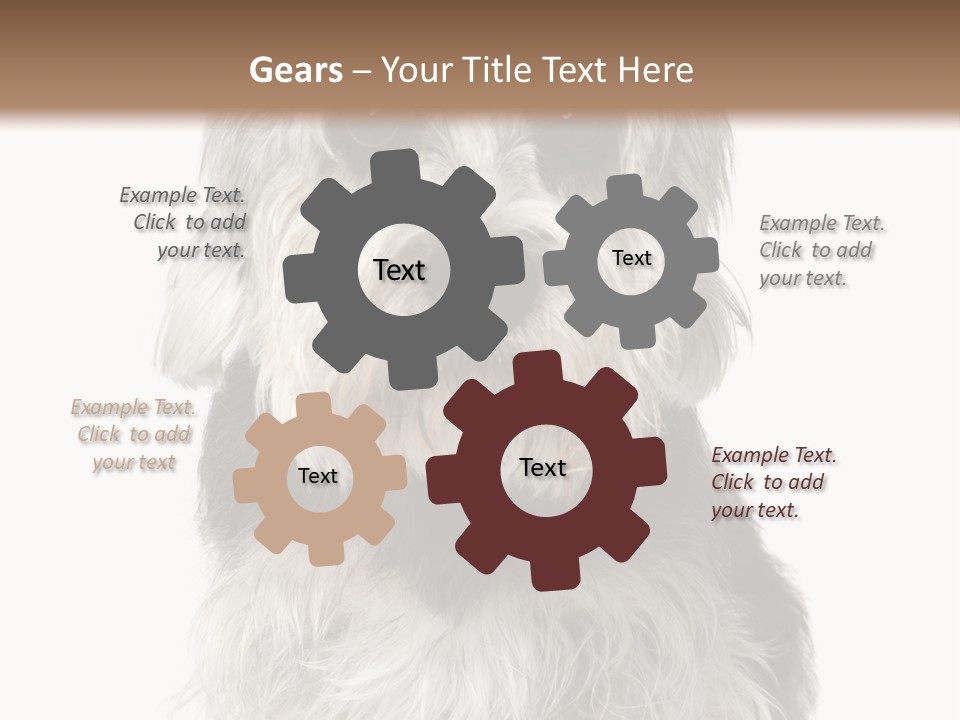 Years Old Animal Themes Obedient PowerPoint Template