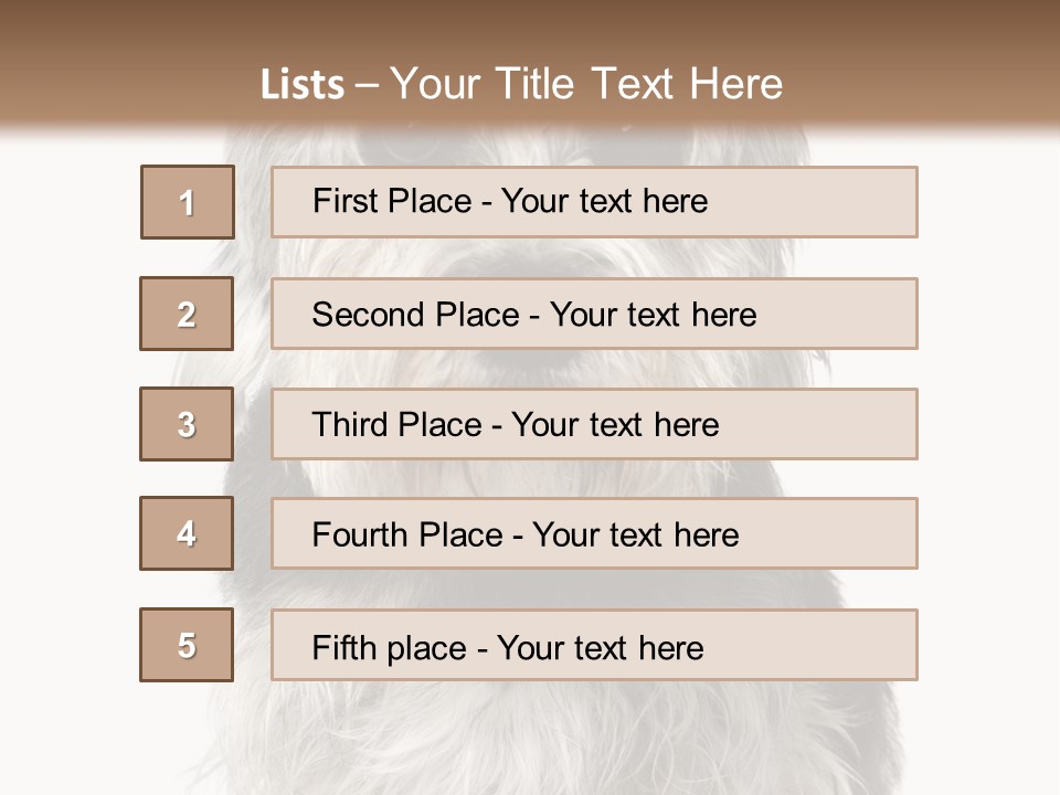 Years Old Animal Themes Obedient PowerPoint Template