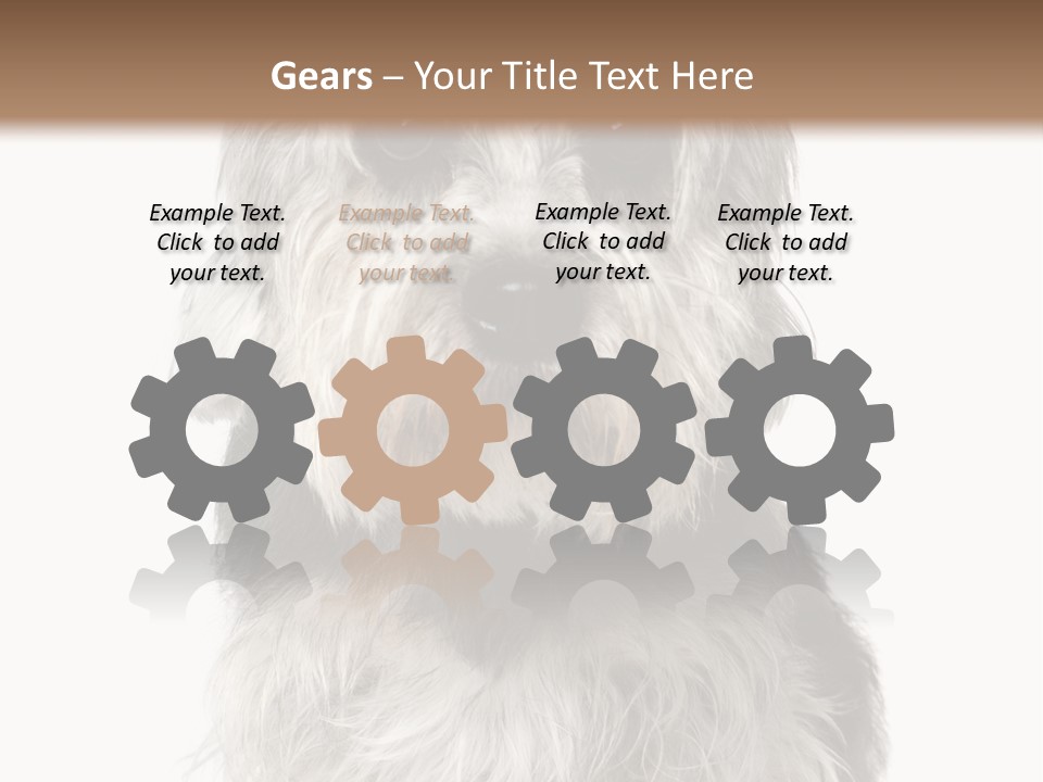 Years Old Animal Themes Obedient PowerPoint Template