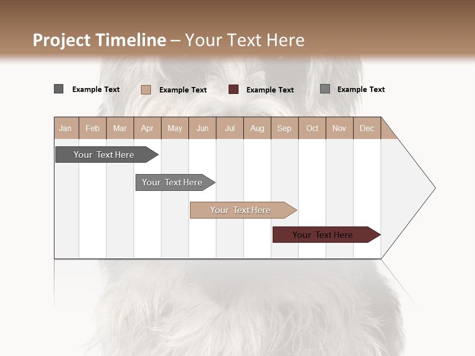 Years Old Animal Themes Obedient PowerPoint Template