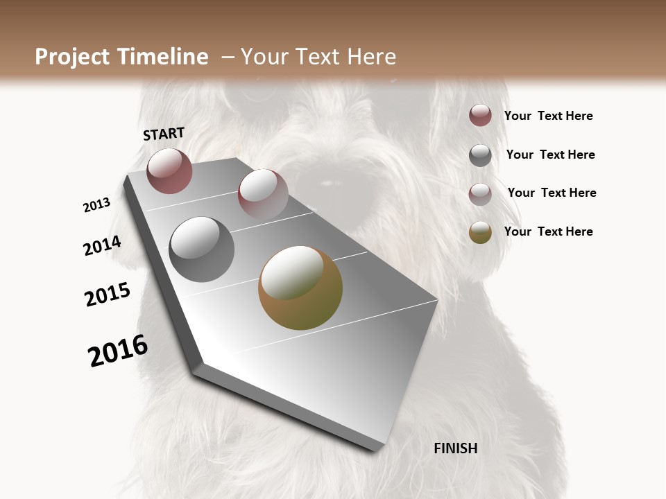 Years Old Animal Themes Obedient PowerPoint Template