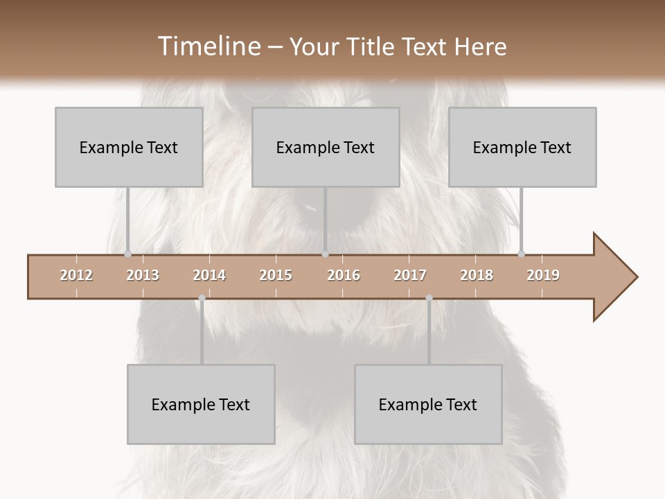 Years Old Animal Themes Obedient PowerPoint Template