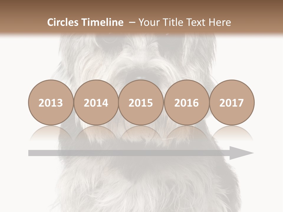 Years Old Animal Themes Obedient PowerPoint Template