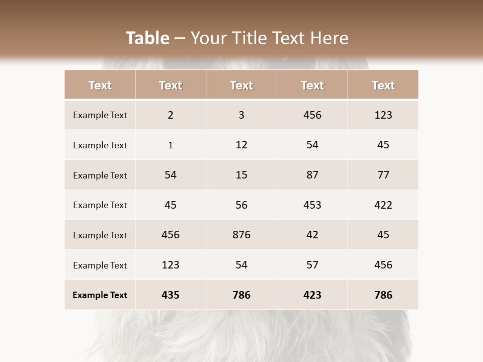 Years Old Animal Themes Obedient PowerPoint Template