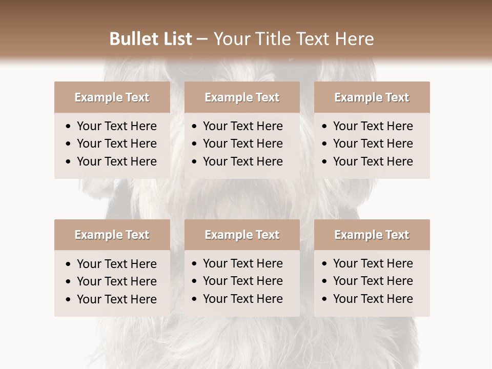 Years Old Animal Themes Obedient PowerPoint Template