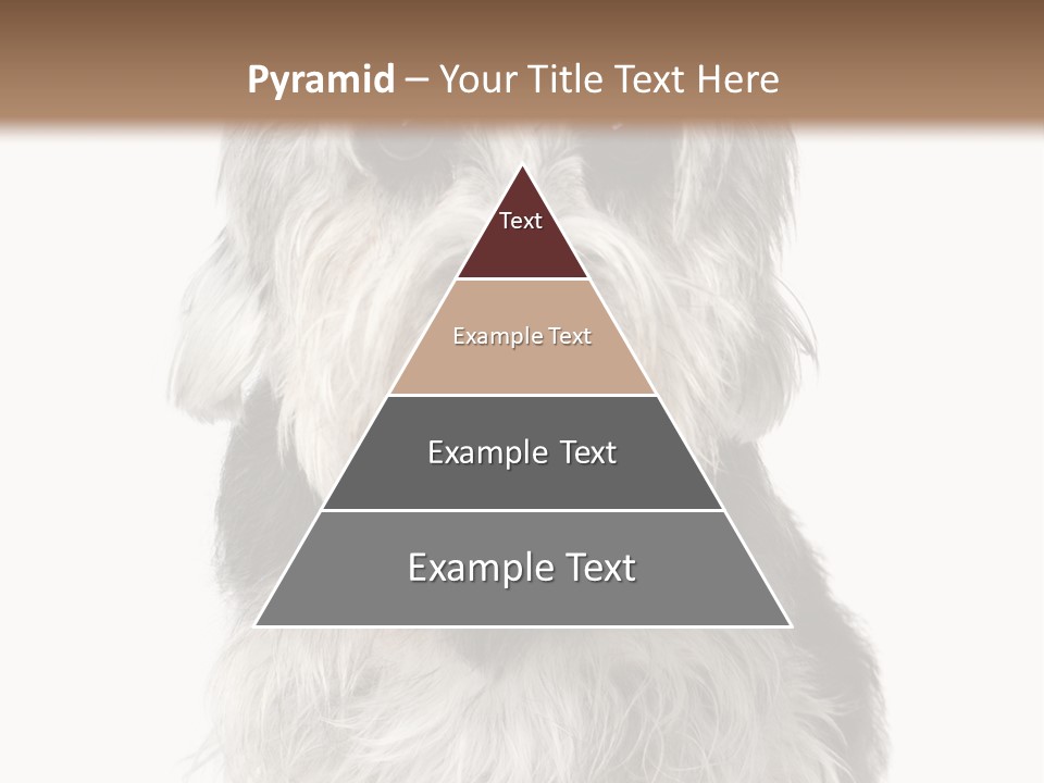 Years Old Animal Themes Obedient PowerPoint Template