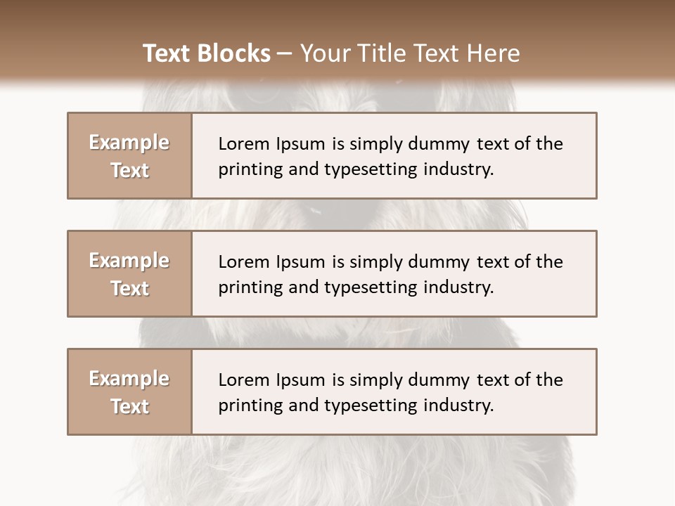 Years Old Animal Themes Obedient PowerPoint Template