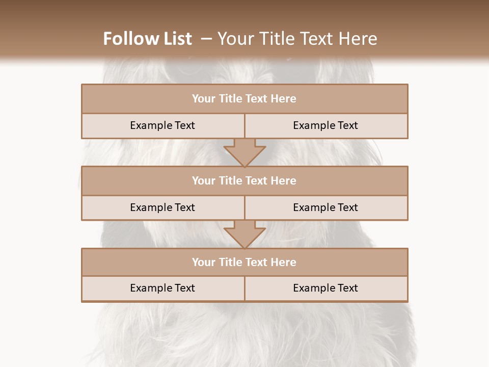 Years Old Animal Themes Obedient PowerPoint Template