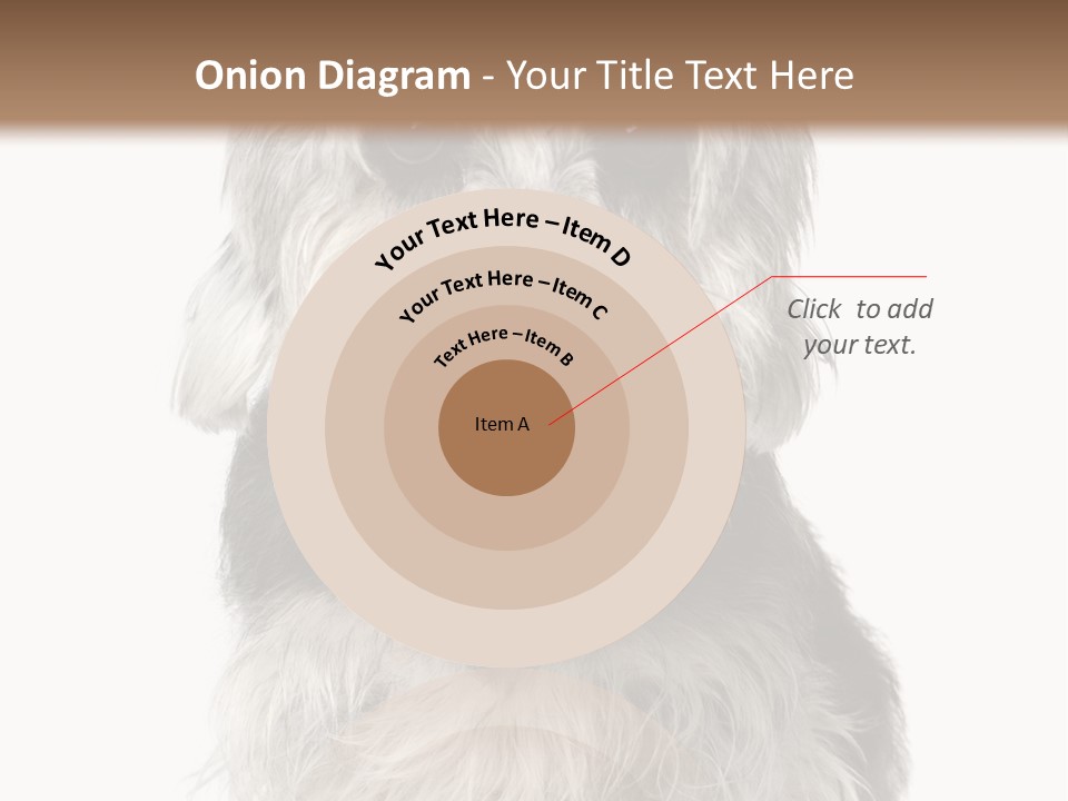 Years Old Animal Themes Obedient PowerPoint Template