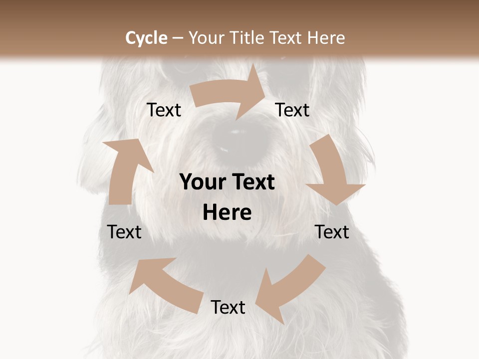 Years Old Animal Themes Obedient PowerPoint Template