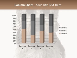 Years Old Animal Themes Obedient PowerPoint Template