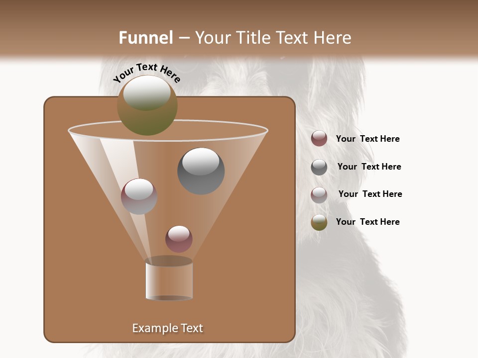Years Old Animal Themes Obedient PowerPoint Template