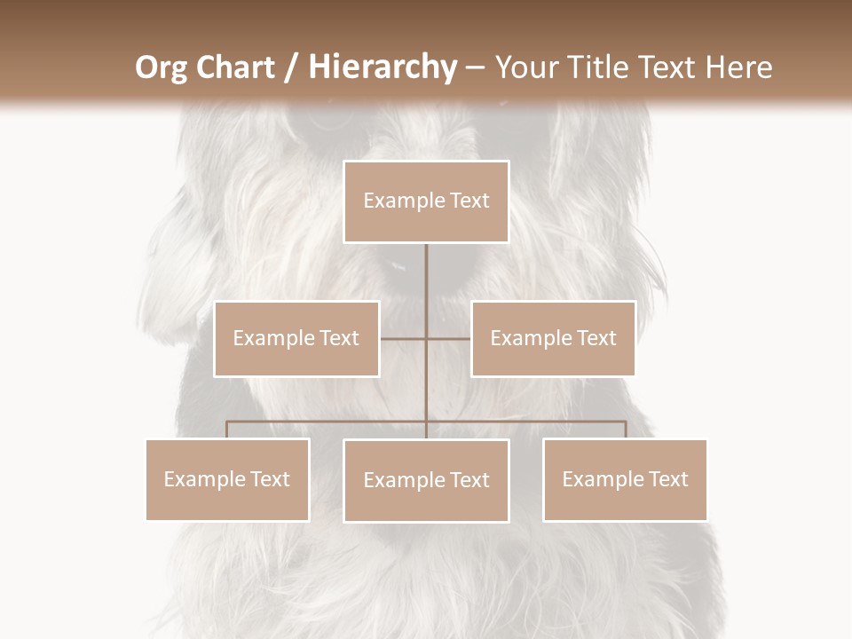 Years Old Animal Themes Obedient PowerPoint Template