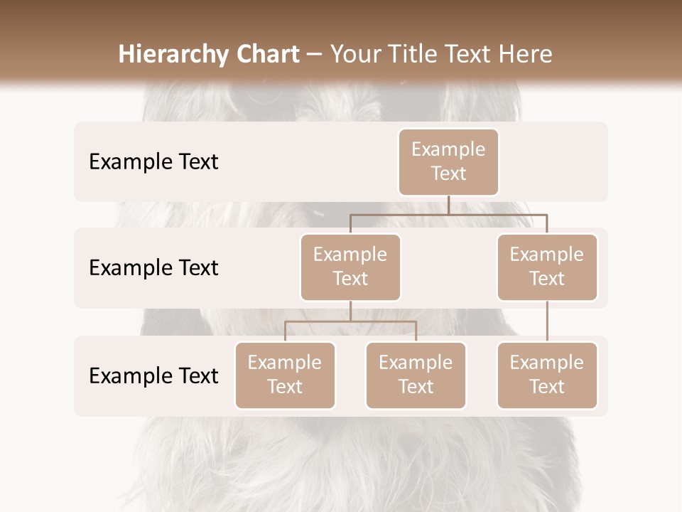 Years Old Animal Themes Obedient PowerPoint Template