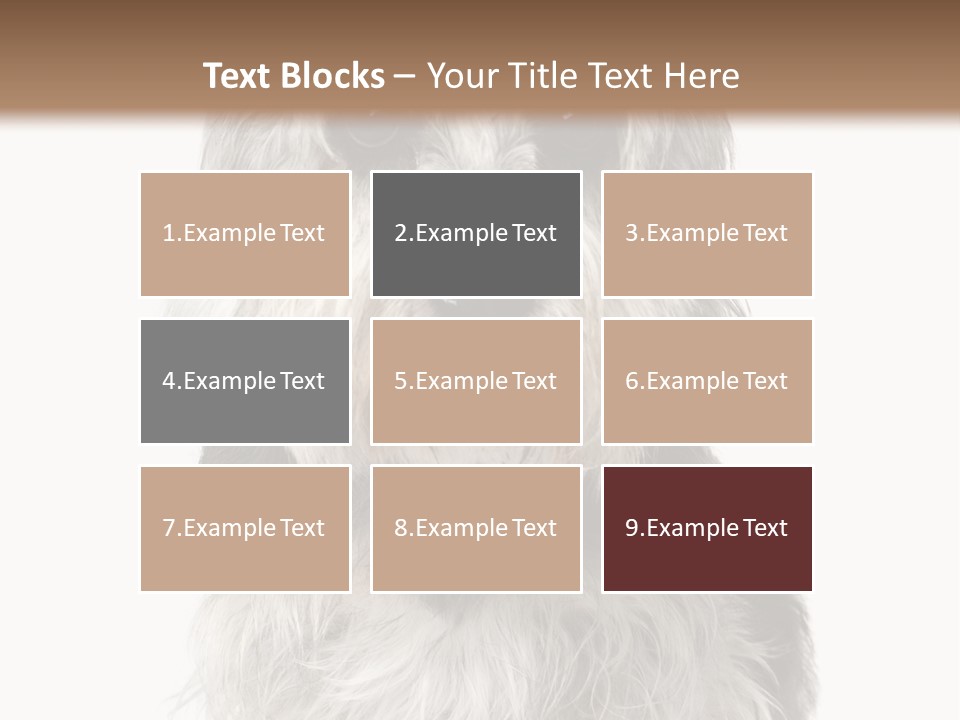 Years Old Animal Themes Obedient PowerPoint Template