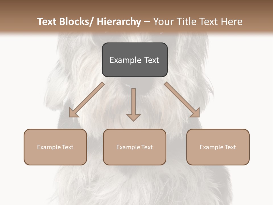 Years Old Animal Themes Obedient PowerPoint Template