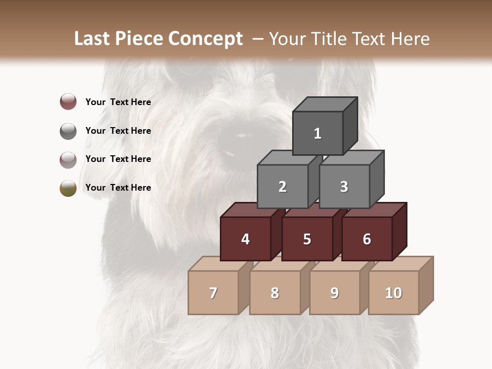 Years Old Animal Themes Obedient PowerPoint Template