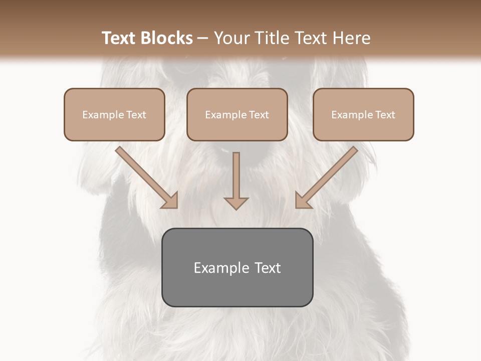Years Old Animal Themes Obedient PowerPoint Template