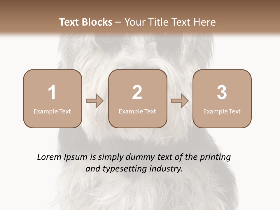 Years Old Animal Themes Obedient PowerPoint Template