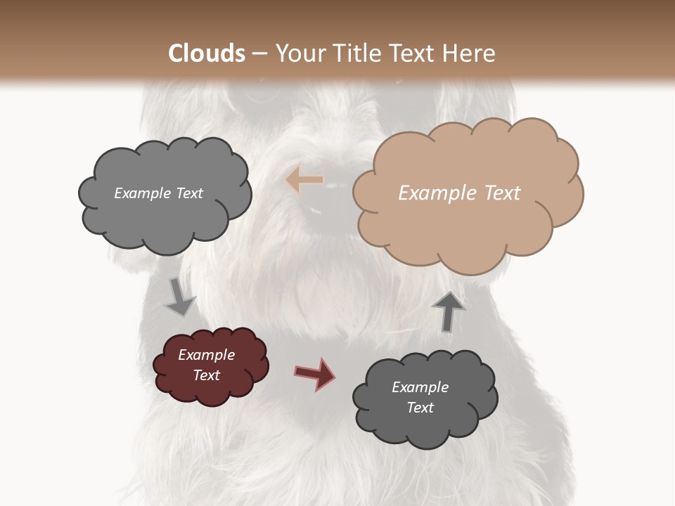Years Old Animal Themes Obedient PowerPoint Template