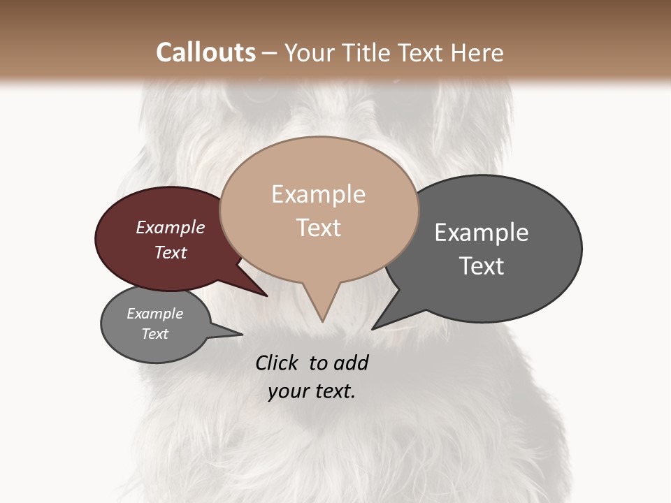 Years Old Animal Themes Obedient PowerPoint Template